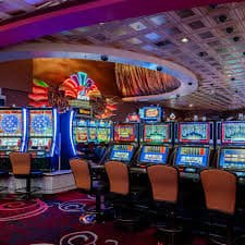 cassino 55bet cassino 55bet